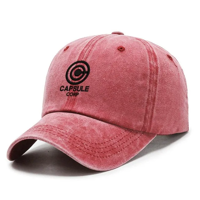 Embroidery Snapback Hat